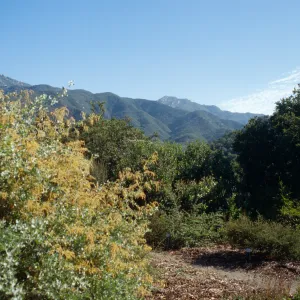 Porter Trail Looking Toward Mountains