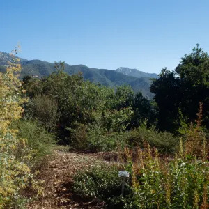 Porter Trail