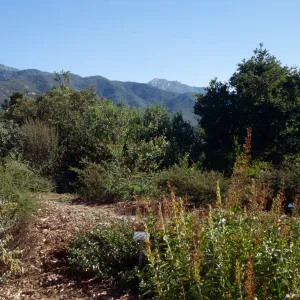 Porter Trail