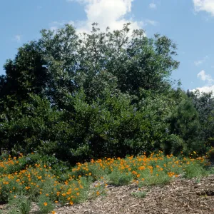 Porter Trail in the Spring