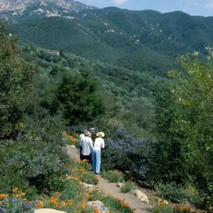 Spring on the Porter Trail