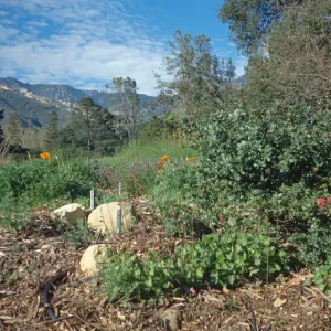 Porter Trail