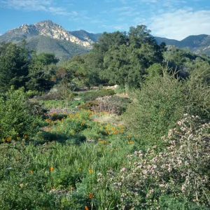 Porter Trail and Cathedral Peak March 1989