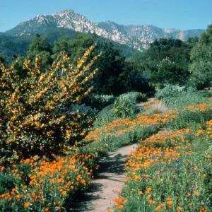 Spring on the Porter Trail