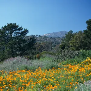 Spring on the Porter Trail