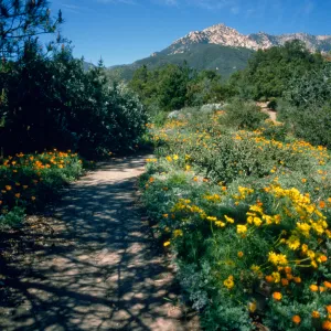 Spring on the Porter Trail