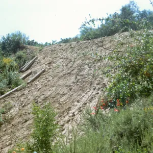 Pritchett Trail Washout