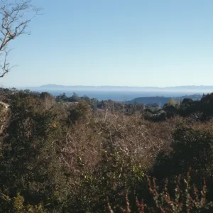 View of the Channel Islands from the Pritchett Trail
