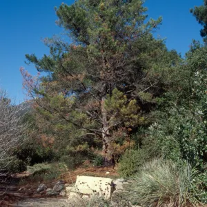 Bench on Lower Porter Trail