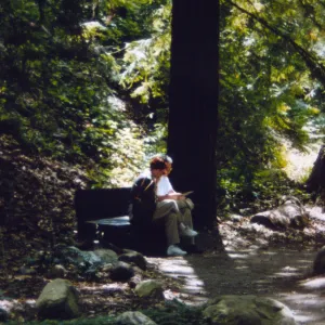 Couple Sitting on Bench in Redwood Section