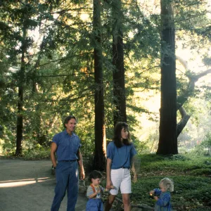 Photo shoot Redwood section