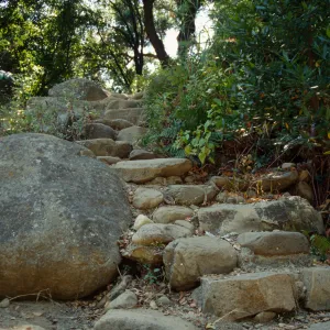Existing steps to pool in Redwood section