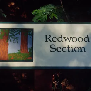 Redwood Section" signage"