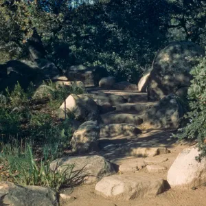Stone steps Under the Meadow Oaks