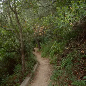 Pritchett Trail