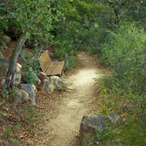 wood bench along Pritchett Trail