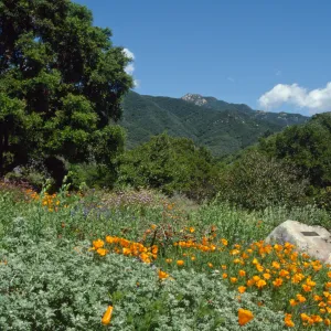 Porter Trail in the Spring