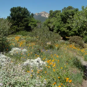 Spring on the Porter Trail