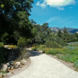 Pavered Path between Meadow & Pond, western edge of the Meadow