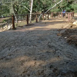 Mud covering the top of Mission Dam