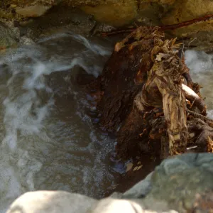 flood debris collected in Mission Dam