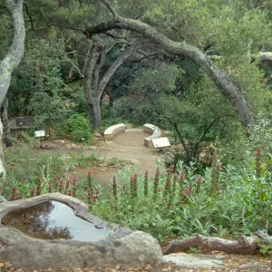 Distance view of spiral bench in Fiber Arts Display, view from Pritchett Trail
