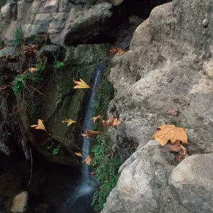 Small waterfall under Mission Dam © Alan Weisskopf