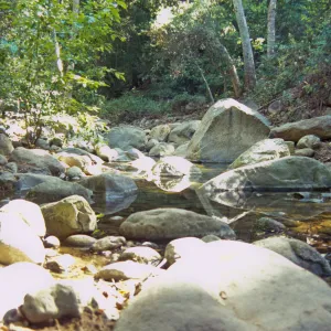 Mission Creek