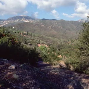 East Slope