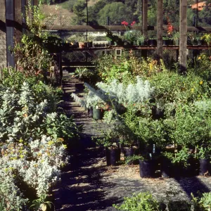 Horticulture Unit covered growing area