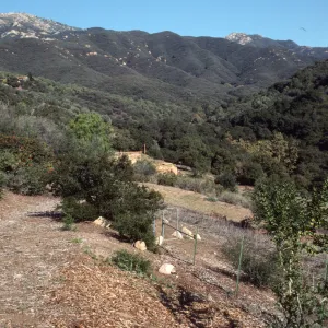 East Slope, below Hort Unit
