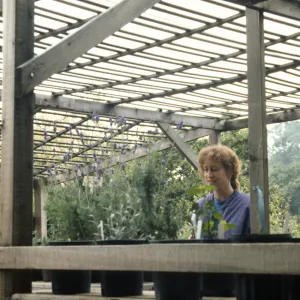 Horticulture Unit