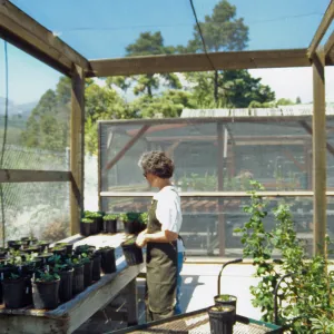 Horticulture Unit covered growing area