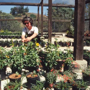 Horticulture Unit covered growing area, gallon pots, potted plants
