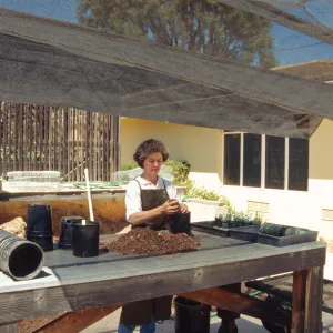 Horticulture Unit, plant propagator potting up plants