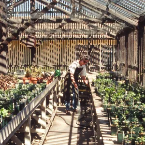 Horticulture Unit, inside the Horticulture lathe house