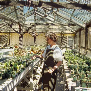 Horticulture Unit, inside the Horticulture lathe house