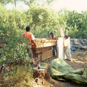 Tea House Construction