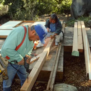 Tea House Construction