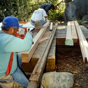 Tea House Construction