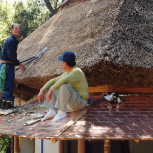 tea house construction copper and thatched roofing ©Marie Gayeski