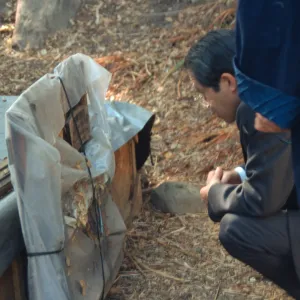 Japanese consul-general visit to Tea House