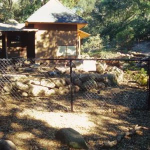 Tea House