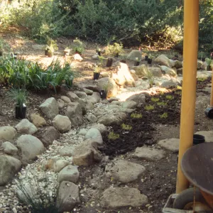 Tea House Garden installation