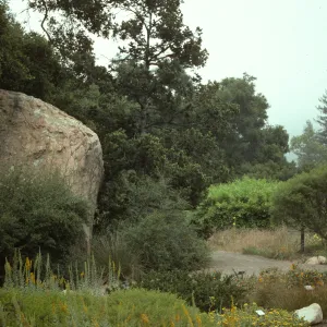 Blaksley Boulder, perennial border, lower Meadow