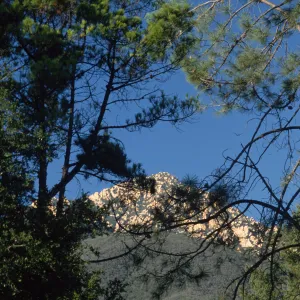 La Cumbre Peak, from Santa Barbara Botanic Garden