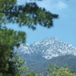 view of La Cumbre Peak from SBBG