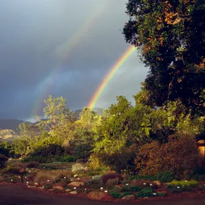 double rainbow over SBBG