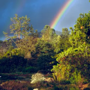double rainbow over SBBG