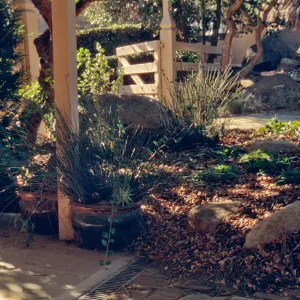 Pavered path and drain at Courtyard entrance